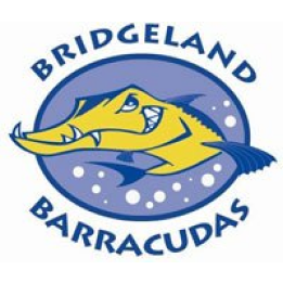 Logo for the Bridgeland Barracudas